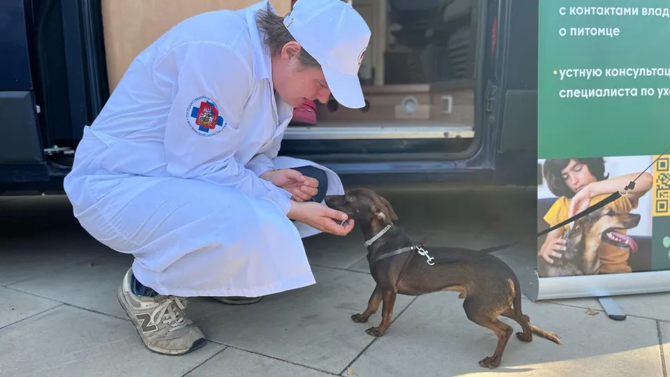 Фото: Министерство сельского хозяйства и продовольствия Московской области