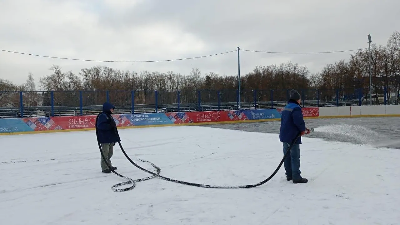 Светлана Плотникова