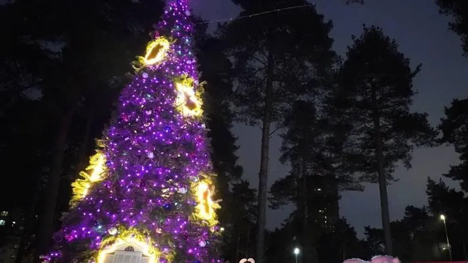 Фото: пресс-служба администрации г.о.Котельники