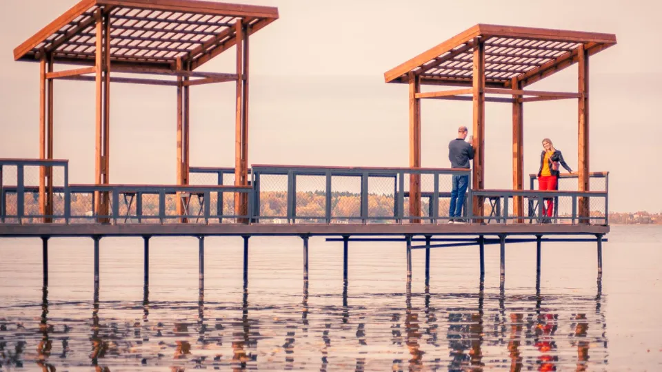 Фото: Министерство благоустройства Московской области