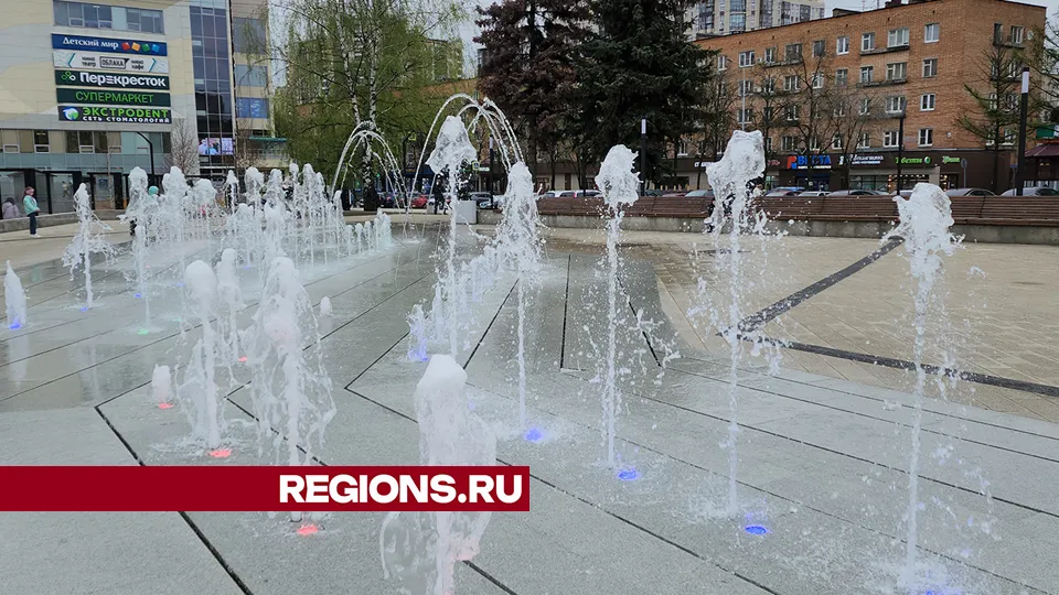 Фото: REGIONS/Ольга Шеметова