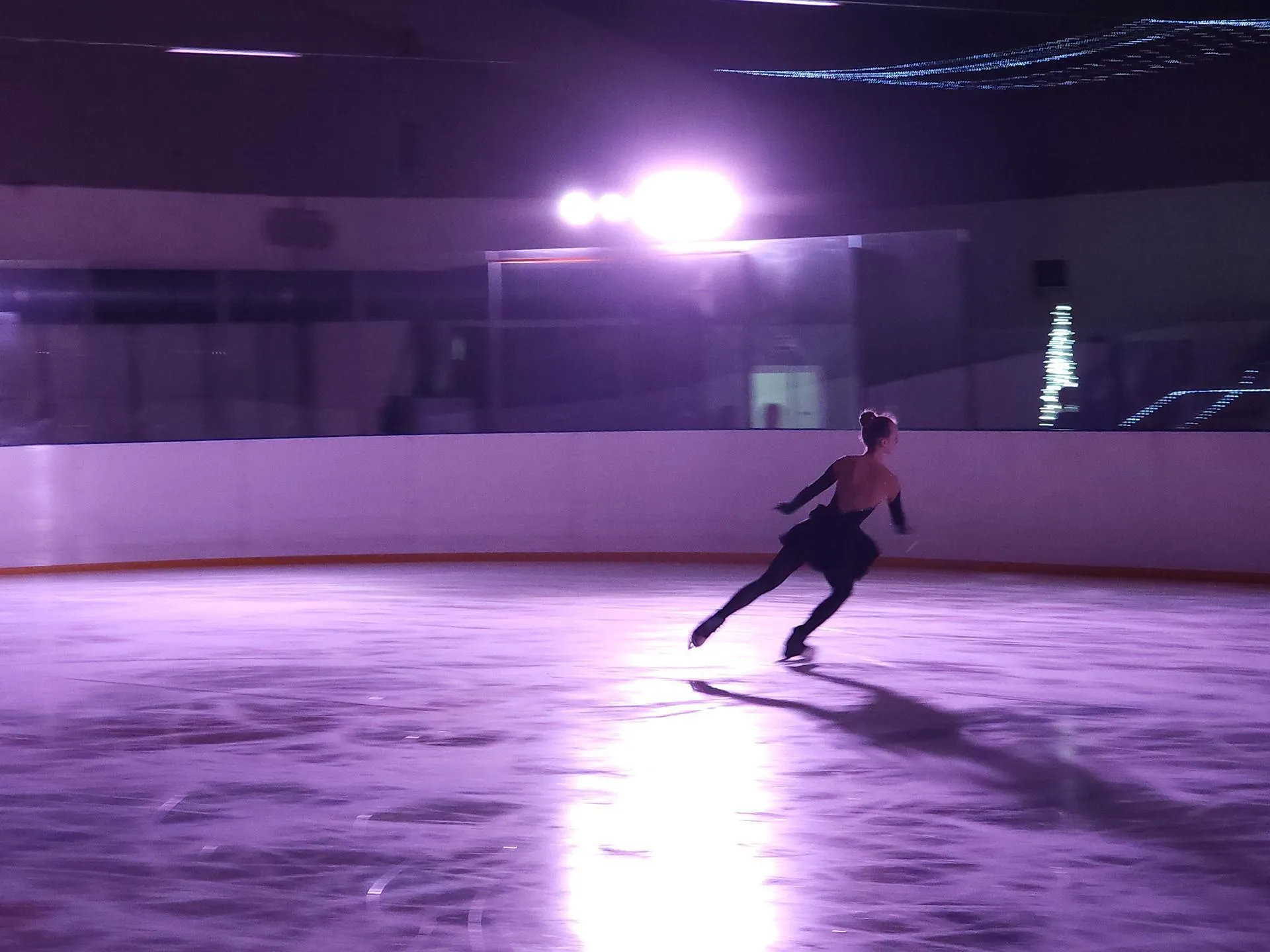 REGIONS/Полина Пахомова