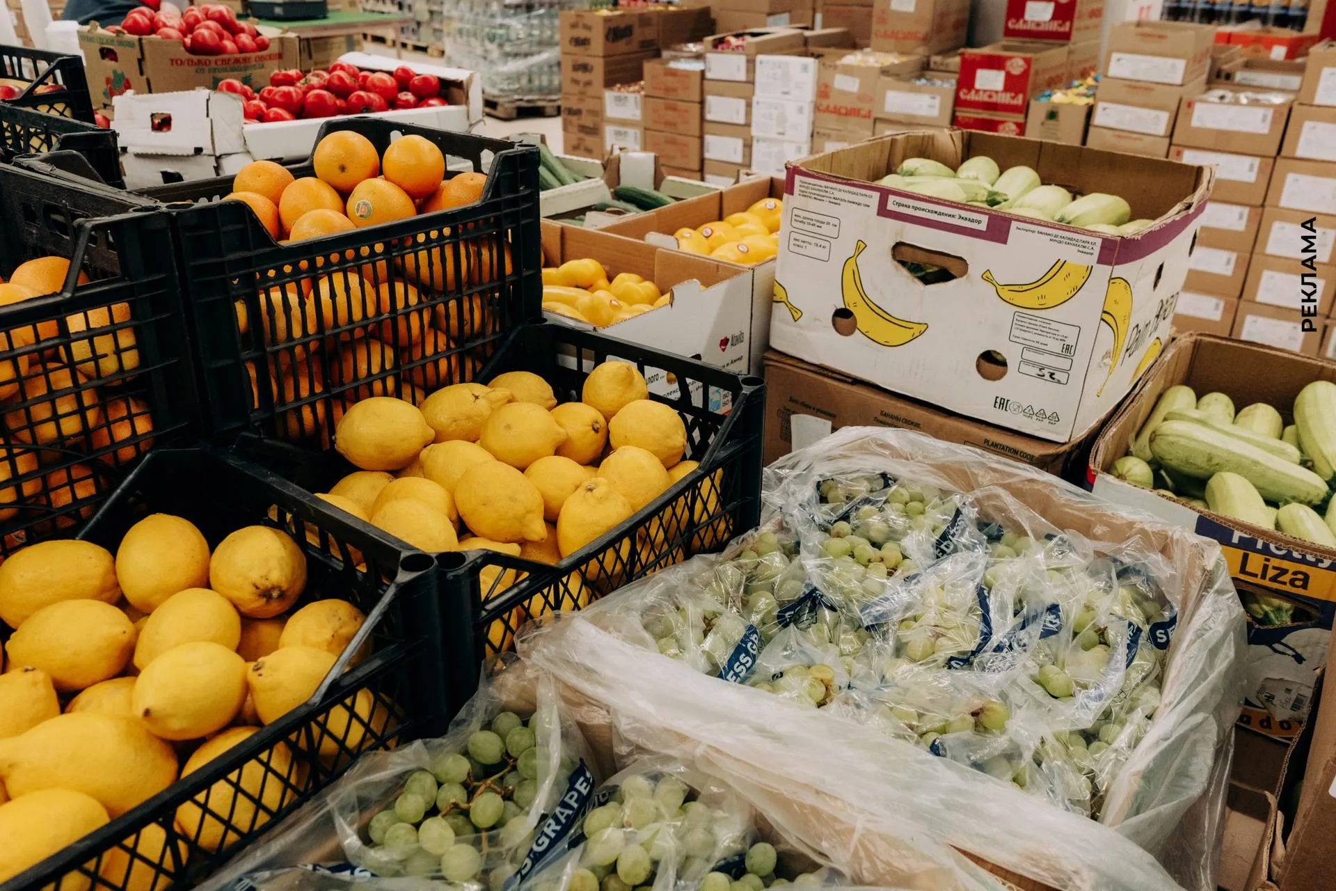 Фото: Лилия Белоснежная