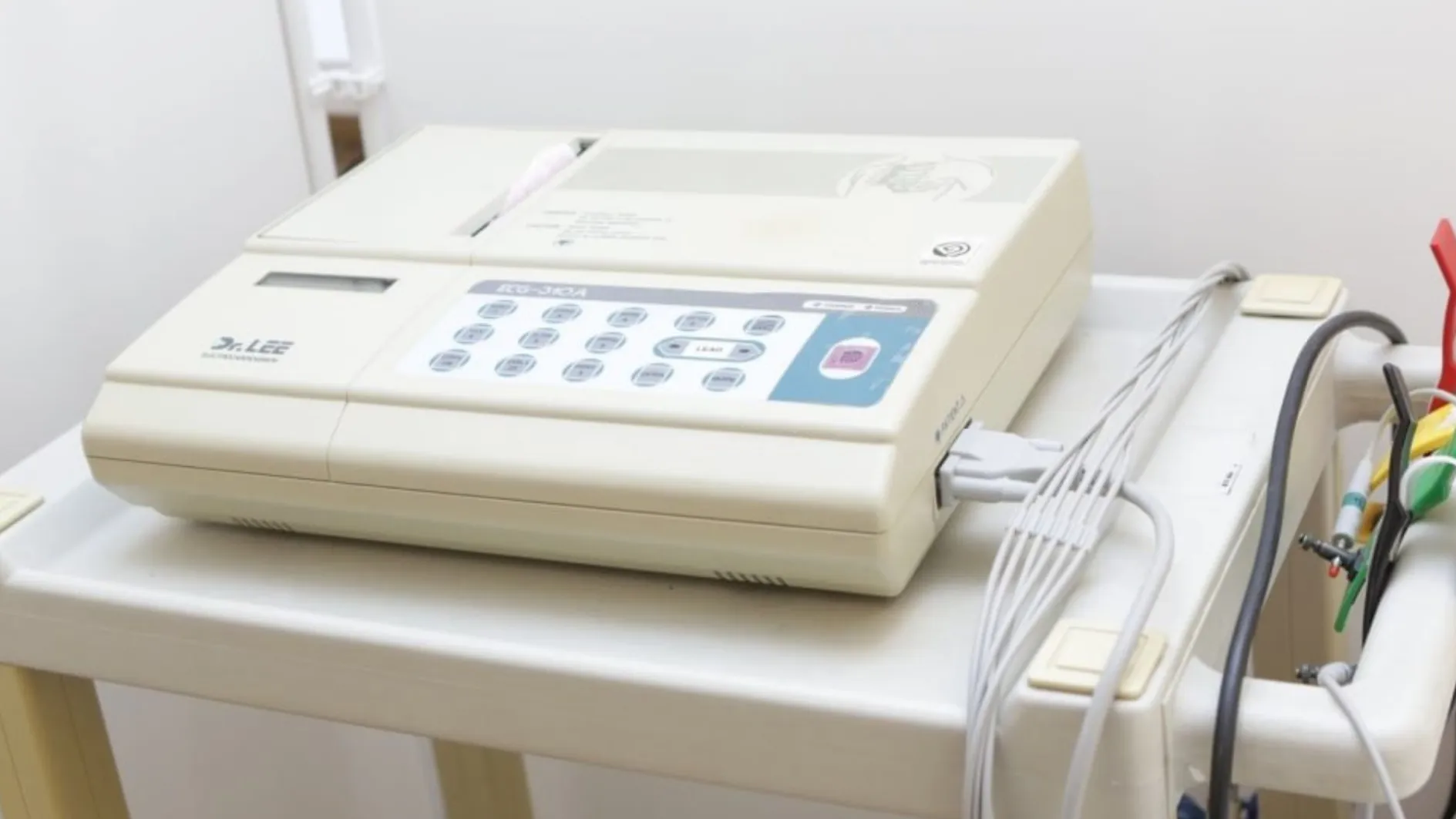 Фото: Раменский медиацентр