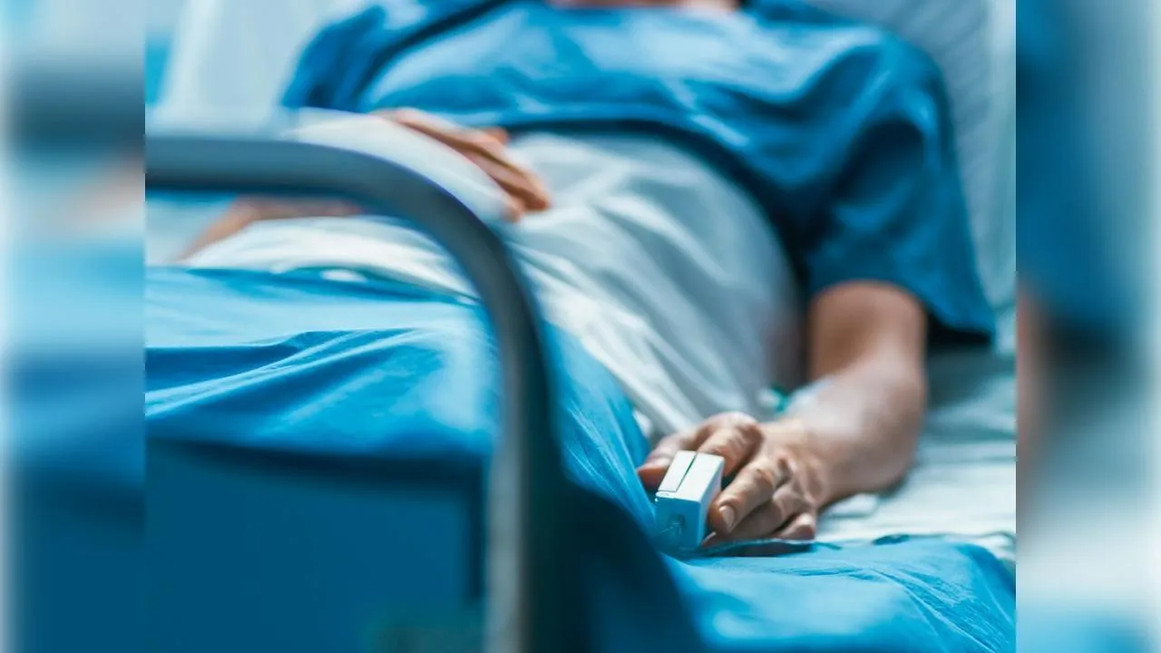 Фото: istockphoto.com/gorodenkoff