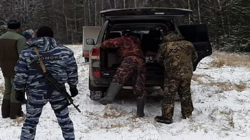 Браконьеры из Подольска остались без охотничьих билетов