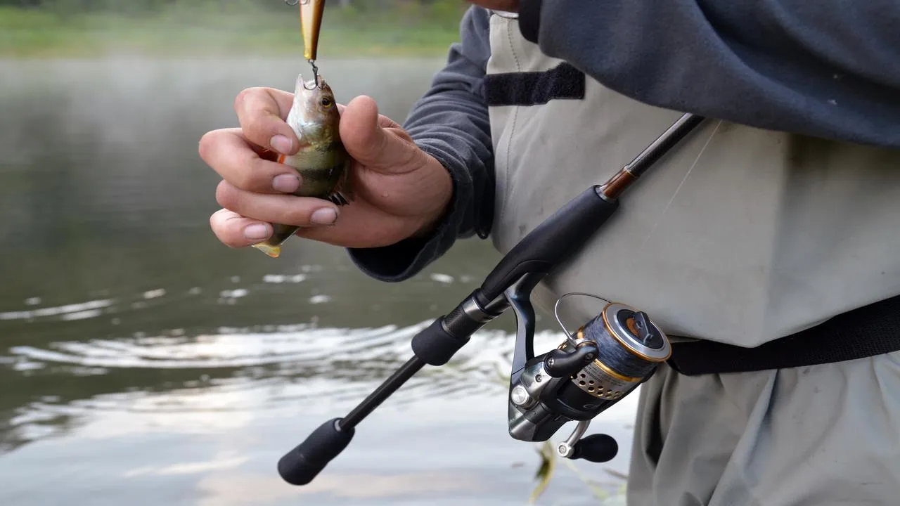 медиасток.рф