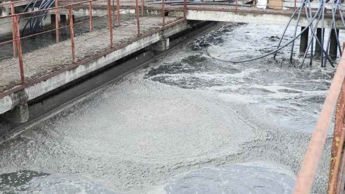 Фото: пресс-служба администрации Наро-Фоминского г.о.