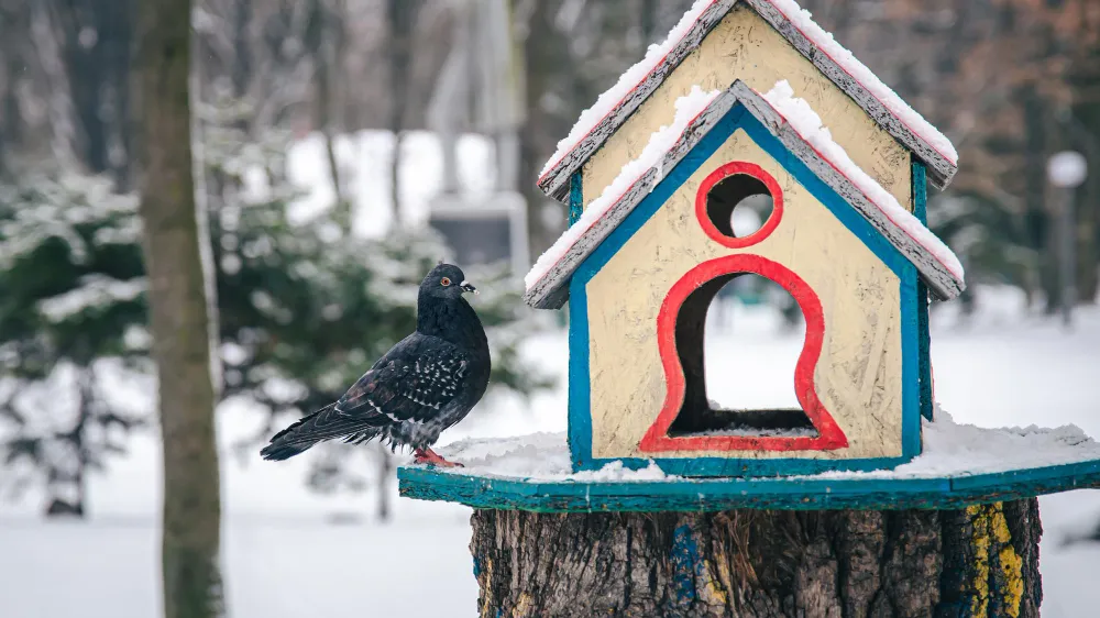 Фото: freepik.com