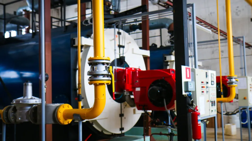 Фото: Администрация городского округа Шаховская