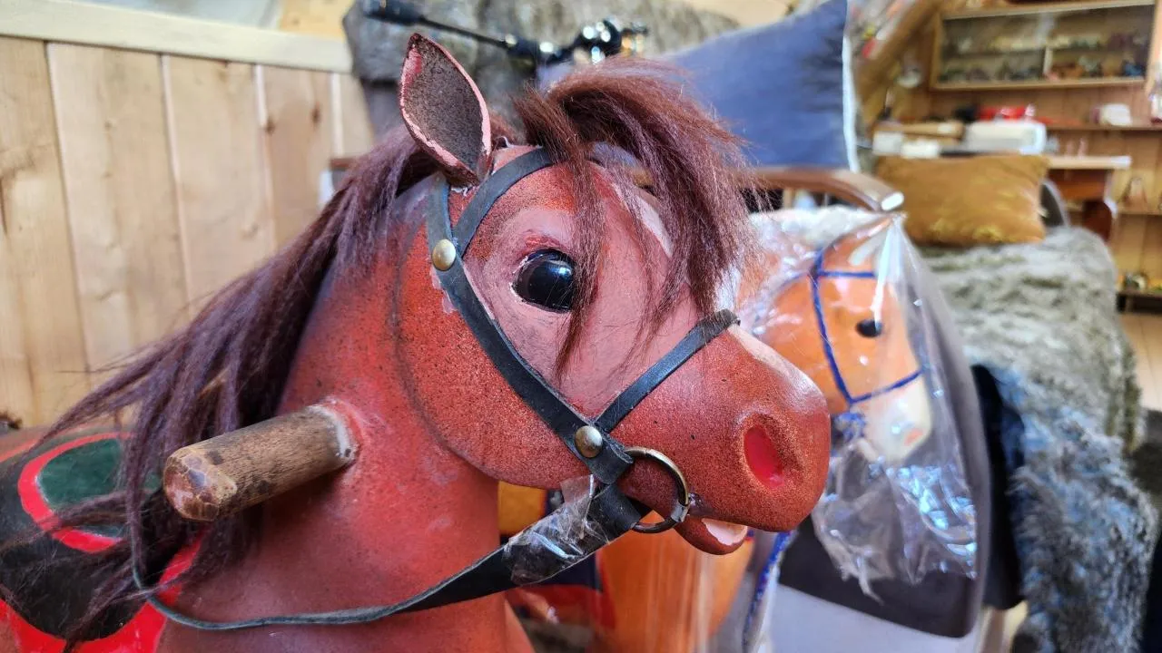 МедиаБанк Подмосковья/Дмитрий Беденко