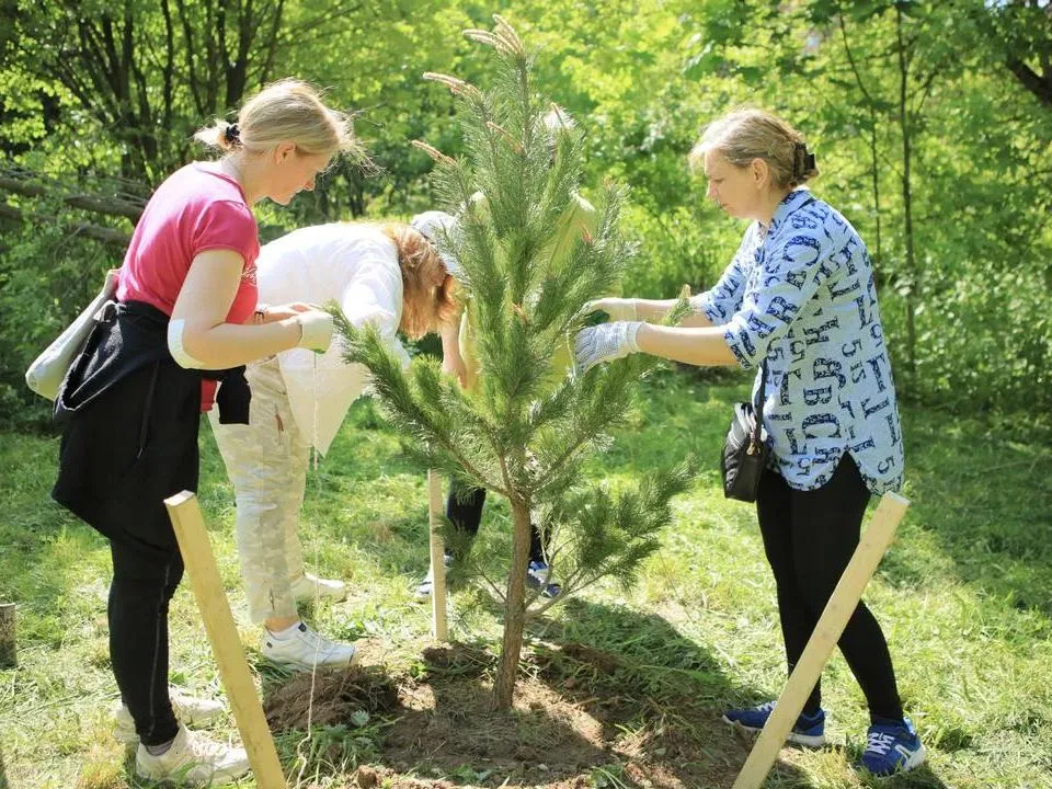 Фото: пресс-служба администрации г.о. Королев