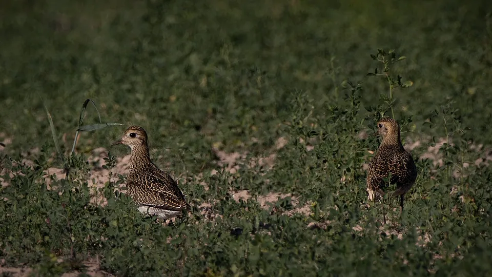 Фото: Анна Салтыкова
