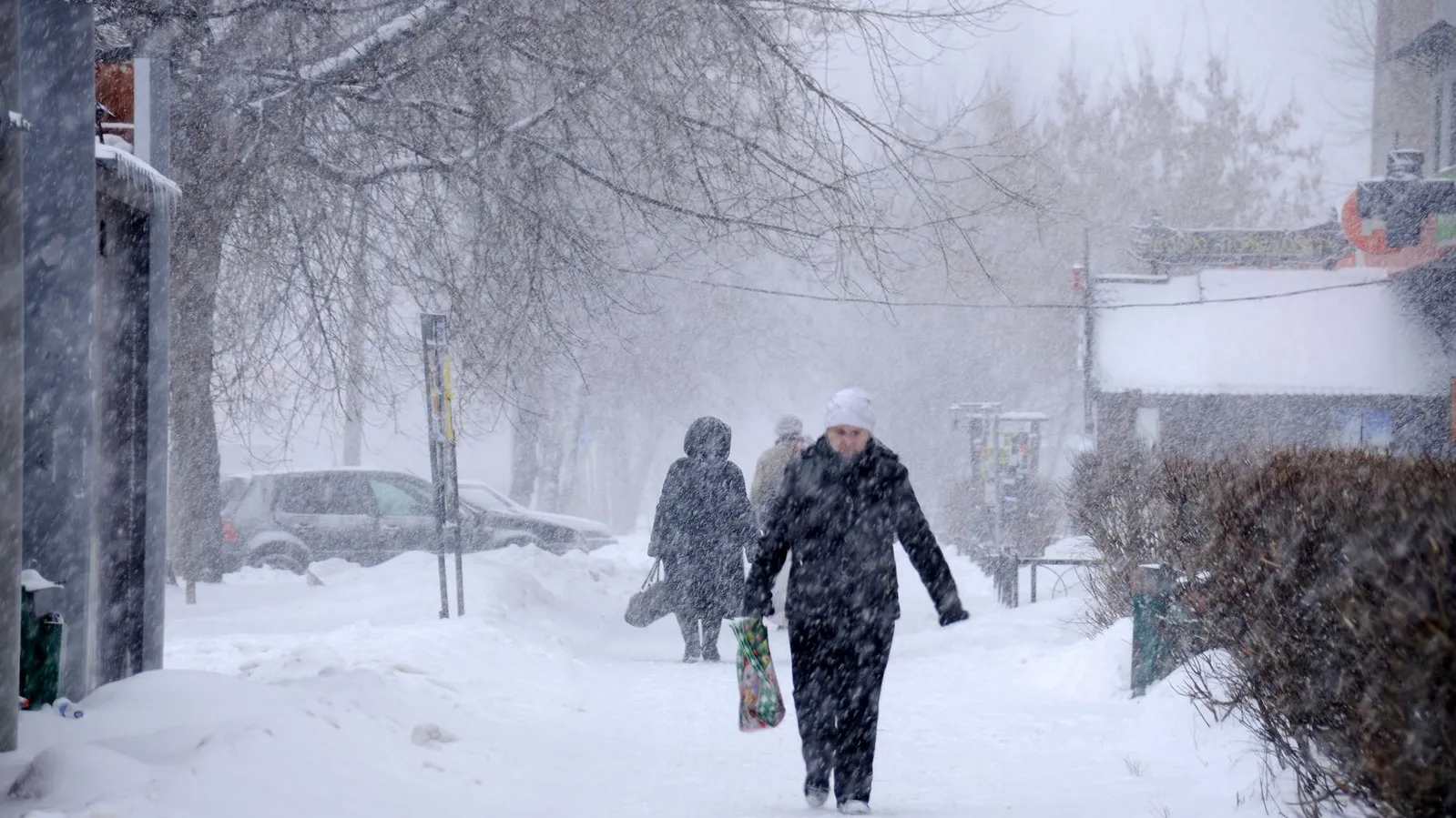 медиасток.рф