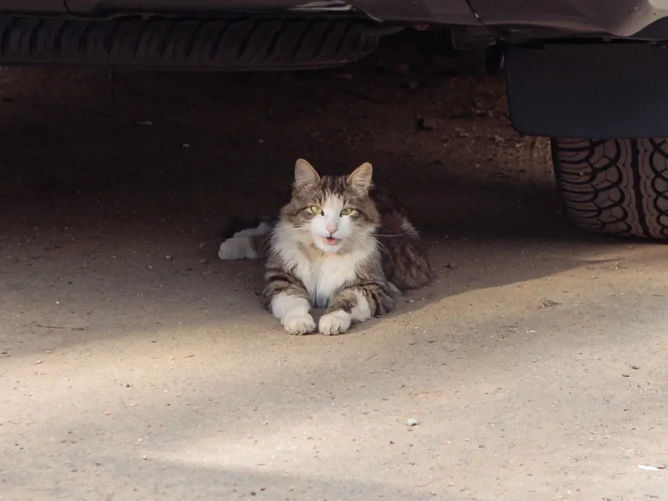 Фото: REGIONS/Наталия Надточая