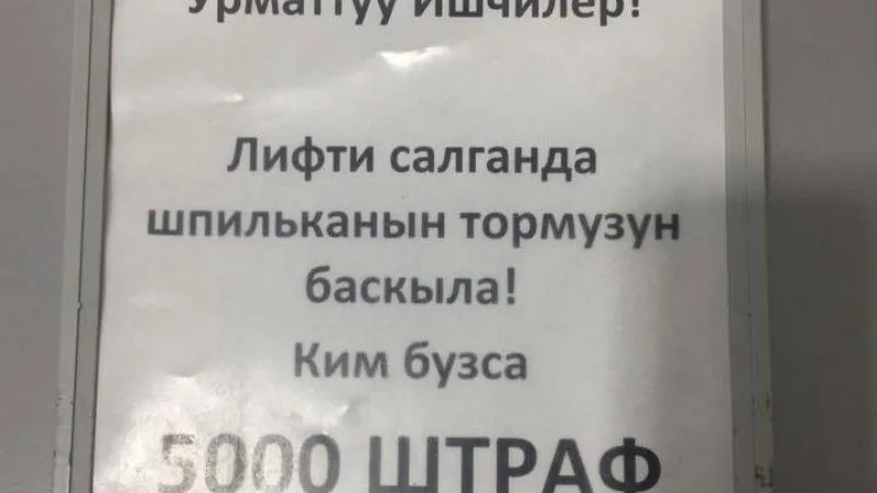 nashepushkino / vk.com