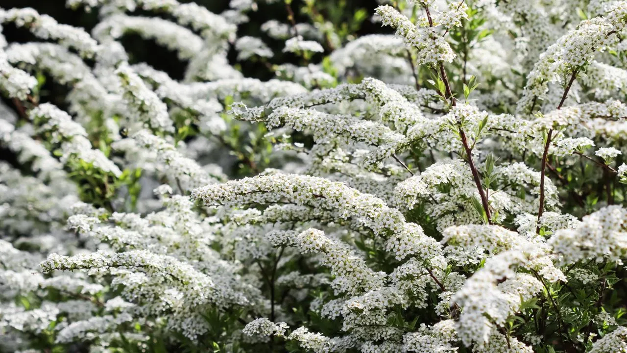 istockphoto.com/Volha Halkouskaya