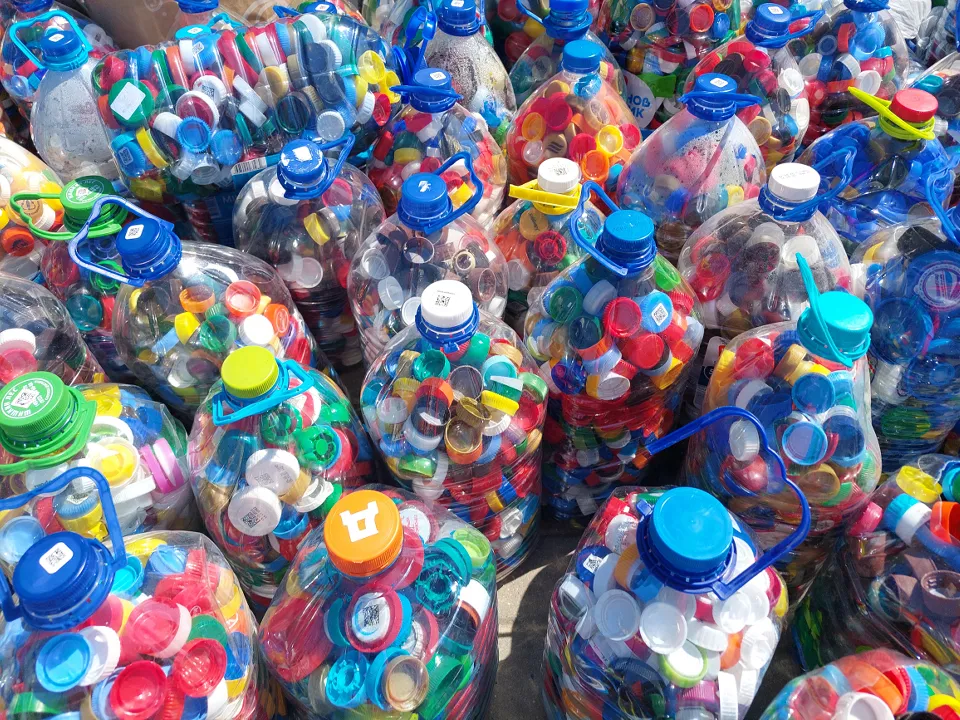 Фото: МедиаБанк Подмосковья/Светлана Плотникова