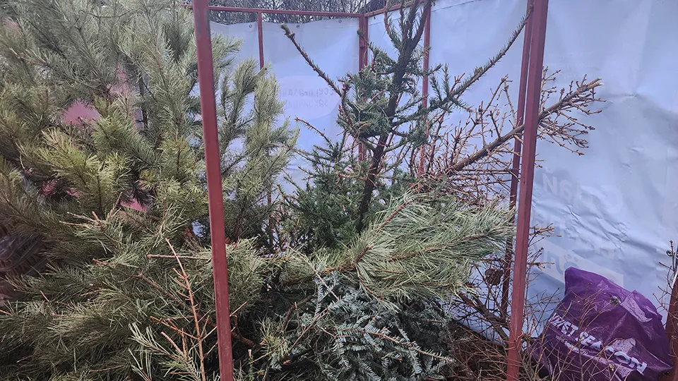 Фото: МедиаБанк Подмосковья/Марина Анисимова