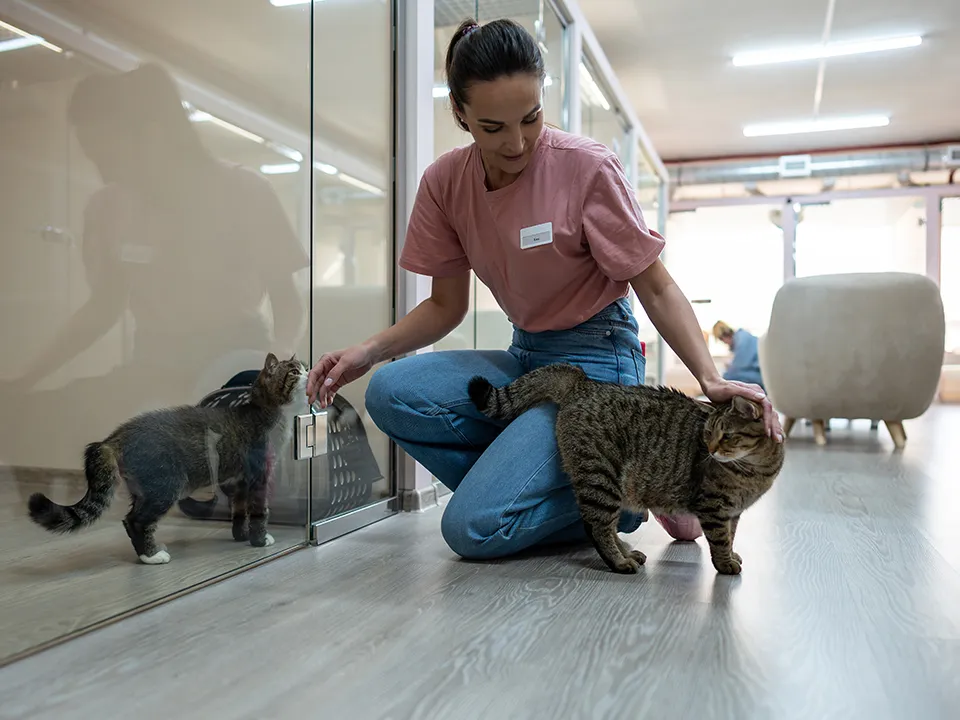 Фото: istockphoto.com/Dima Berlin