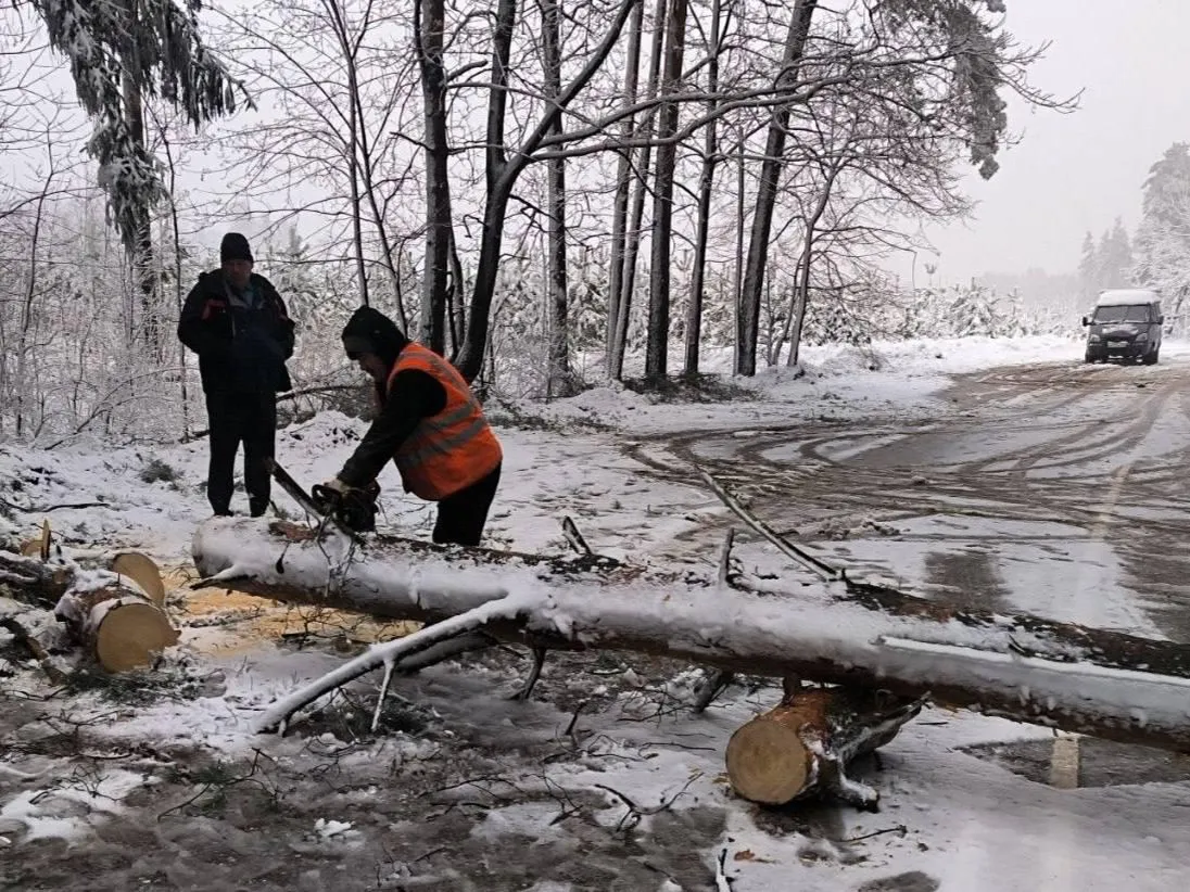 Жителей Подмосковья призвали быть внимательными на дорогах из-за непогоды