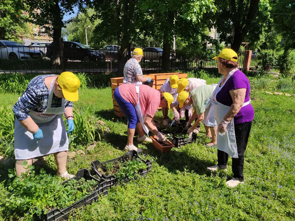 Фото: проект «Активное долголетие»  г.о. Щелково