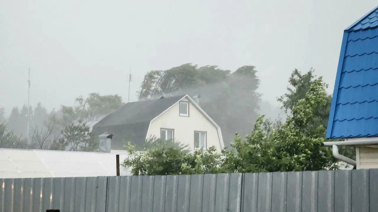 REGIONS/Наталья Надточая