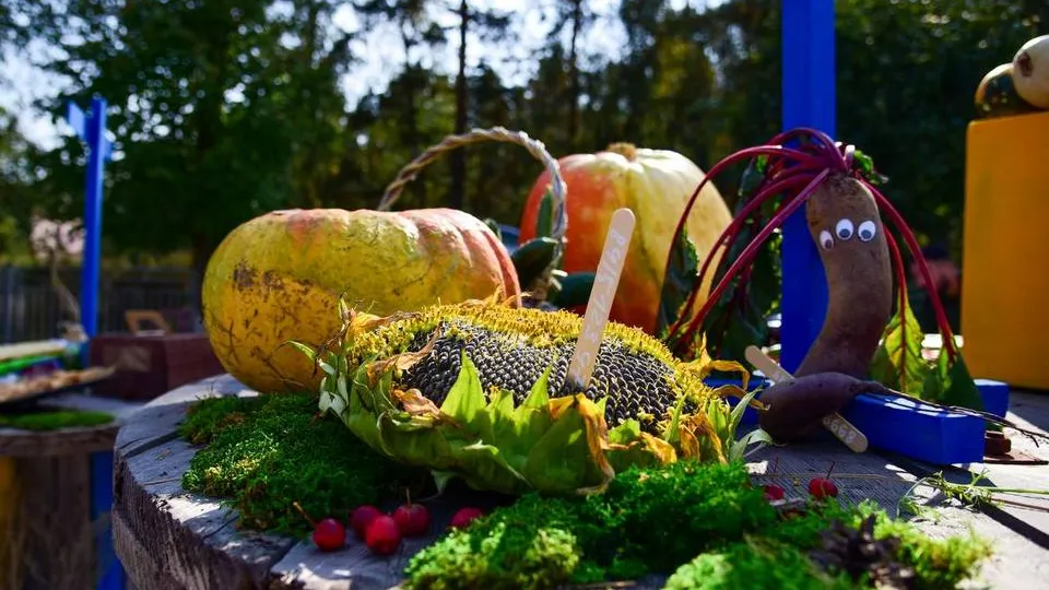 Фото: пресс-служба Администрации городского округа Мытищи