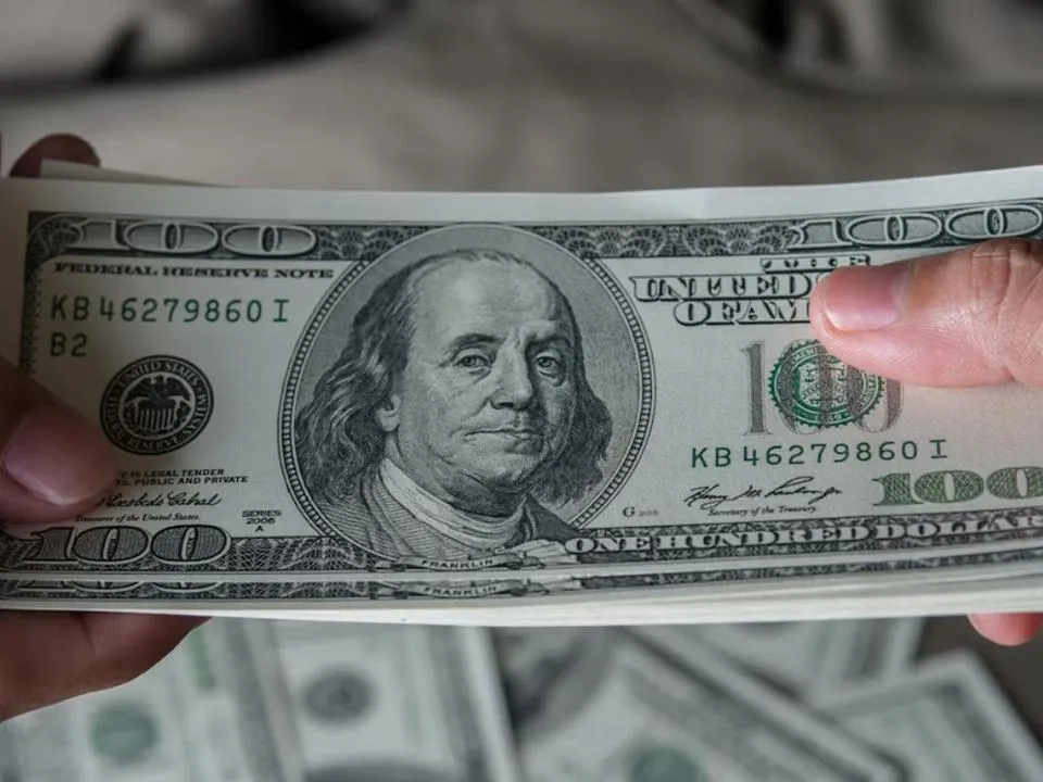 Спрос на фоне опасений: стало известно, почему так подорожал доллар