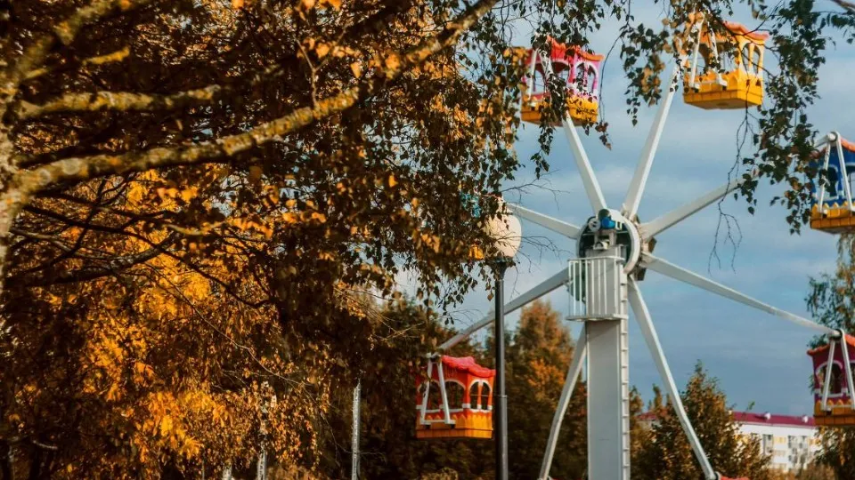 Фото: пресс-служба администрации м.о. Шаховская