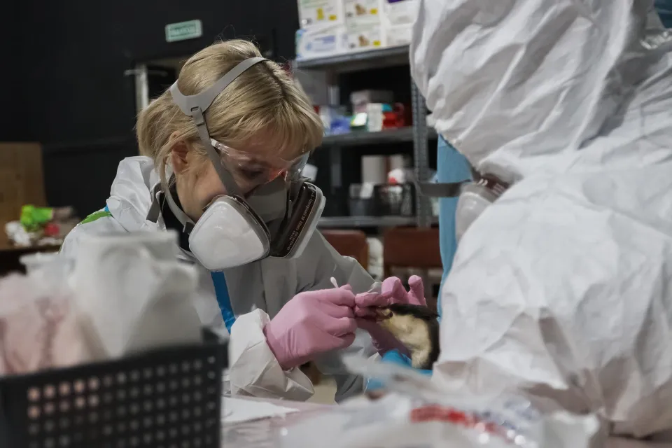 Фото: «Молодая Гвардия Единой России»