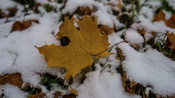 Метеоролог предупредил россиян о «нервозной» погоде предстоящей зимой