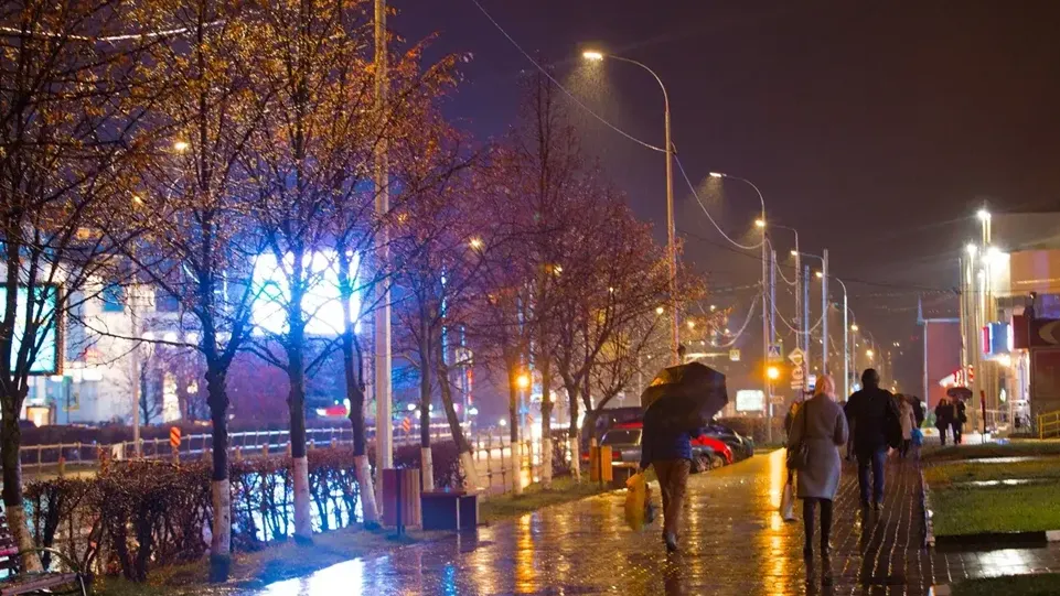 Фото: Министерство благоустройства Московской области