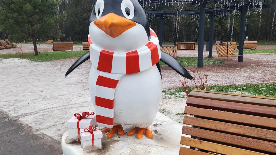 Фото: REGIONS/Хавива Фонина