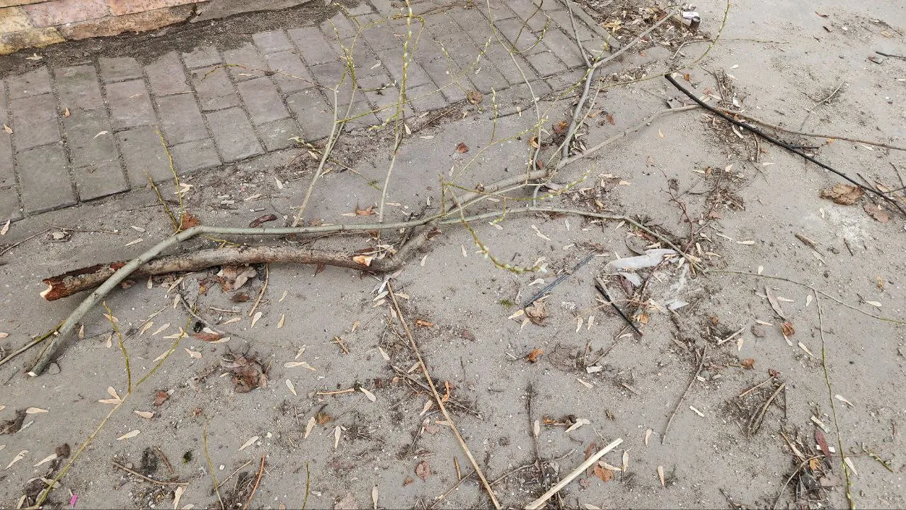 Фото: Наталья Лымарь