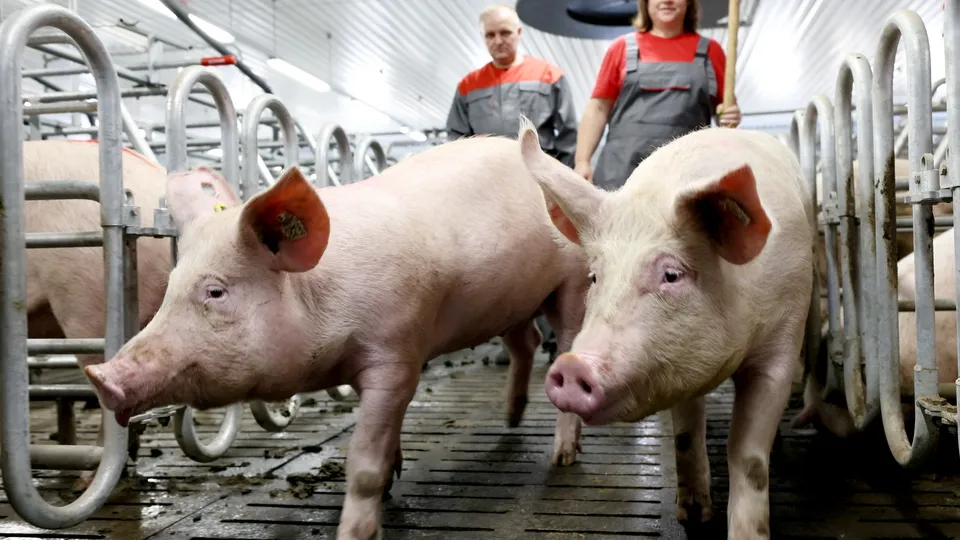 Фото: ТАСС/Александр Река