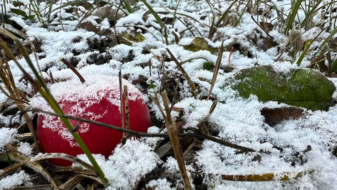 Фото: REGIONS/Елена Фурман