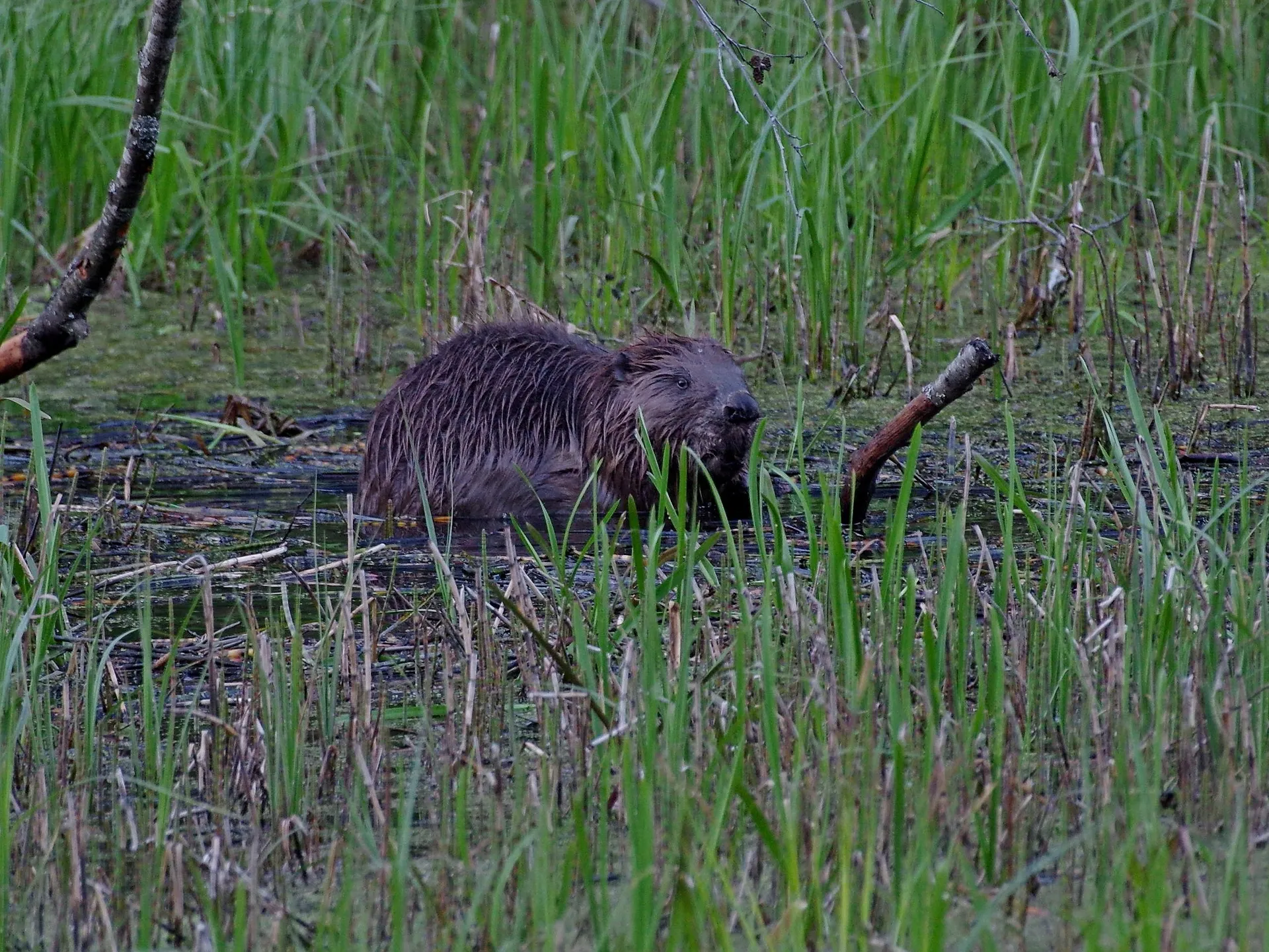 Фото: Ольга Калинина
