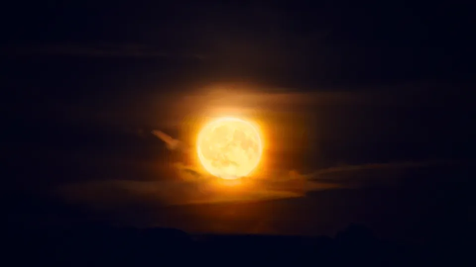 Фото: МедиаБанк Подмосковья/Галина Добрынина