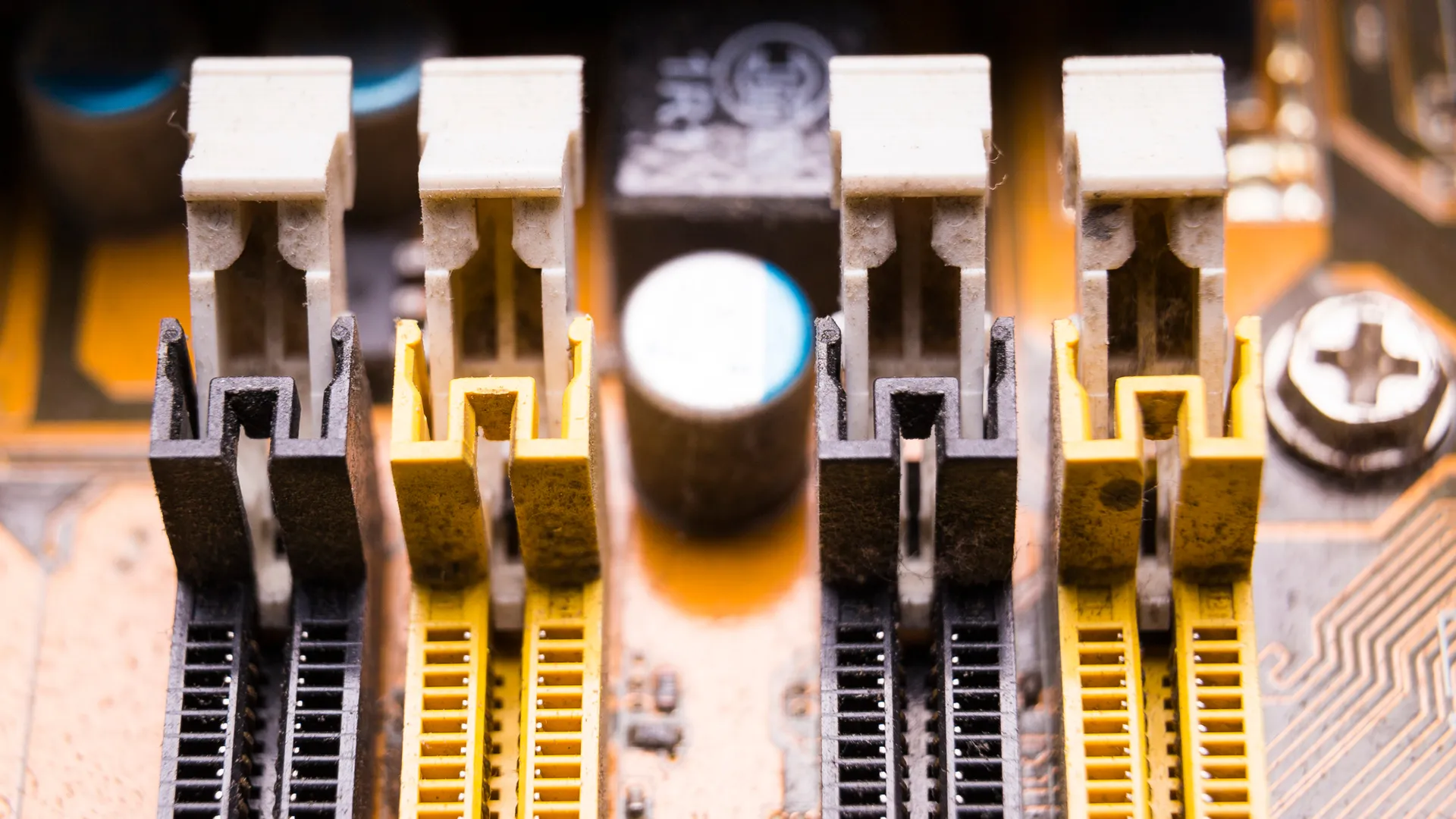 Фото: freepik.com