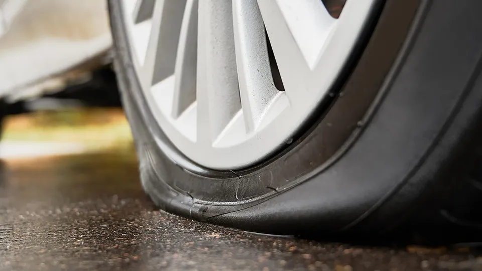 Фото: freepik.com