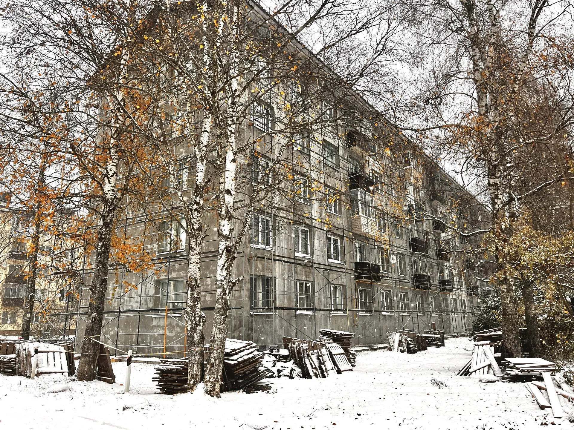 Фото: Дарья Московцева