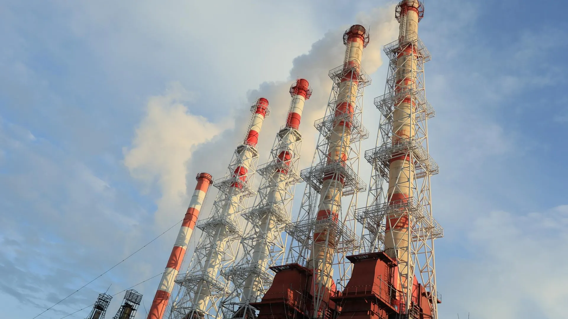 Фото: пресс-служба губернатора Московской области