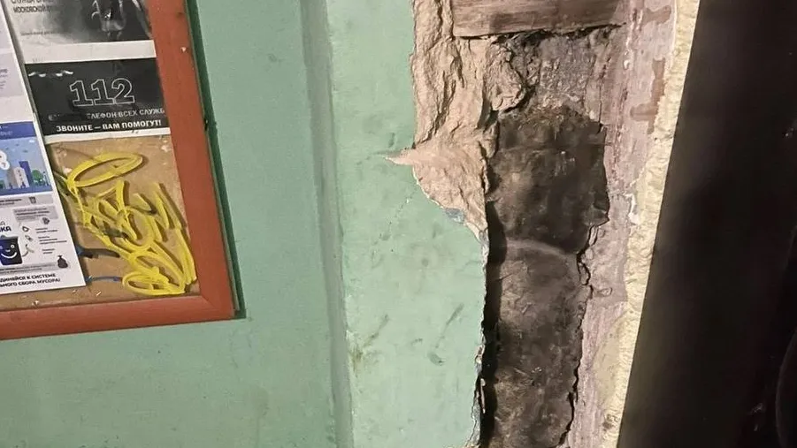 Фото: соцсети