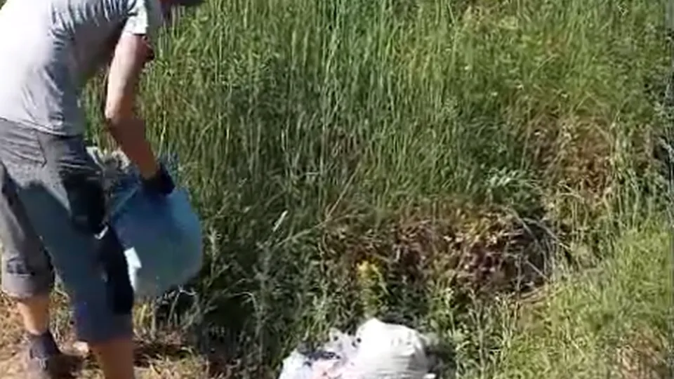 Фото: t.me/chg_admin