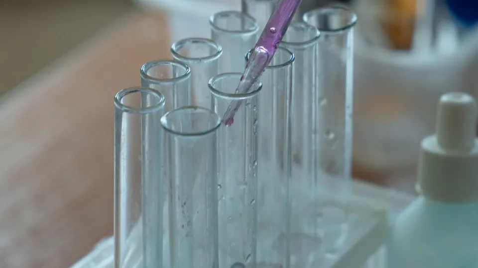 Фото: REGIONS/Наталия Надточая