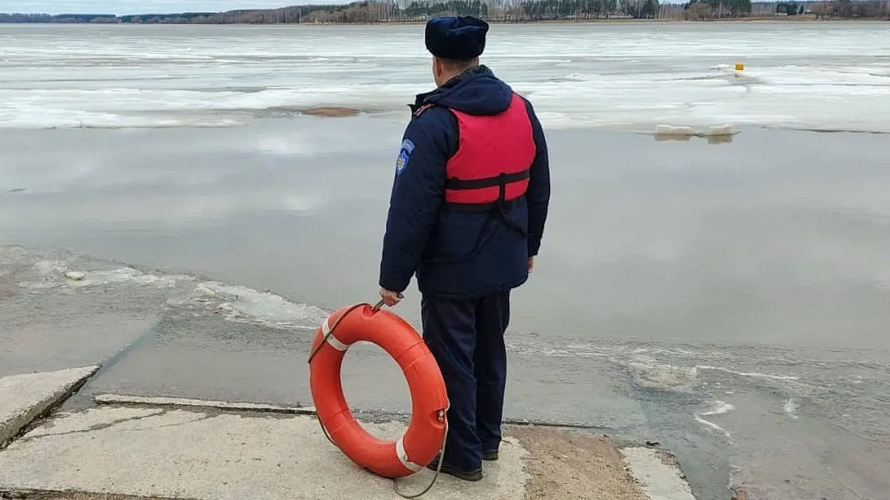 Фото: ГКУ МО «Мособлпожспас»