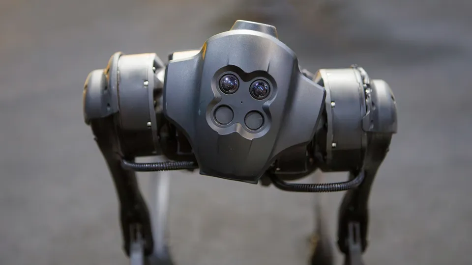 Фото: istockphoto.com