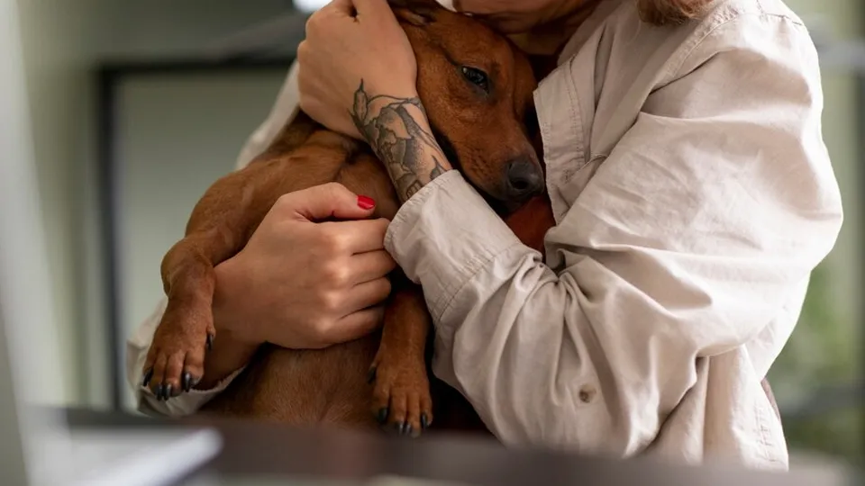 Фото: freepik.com