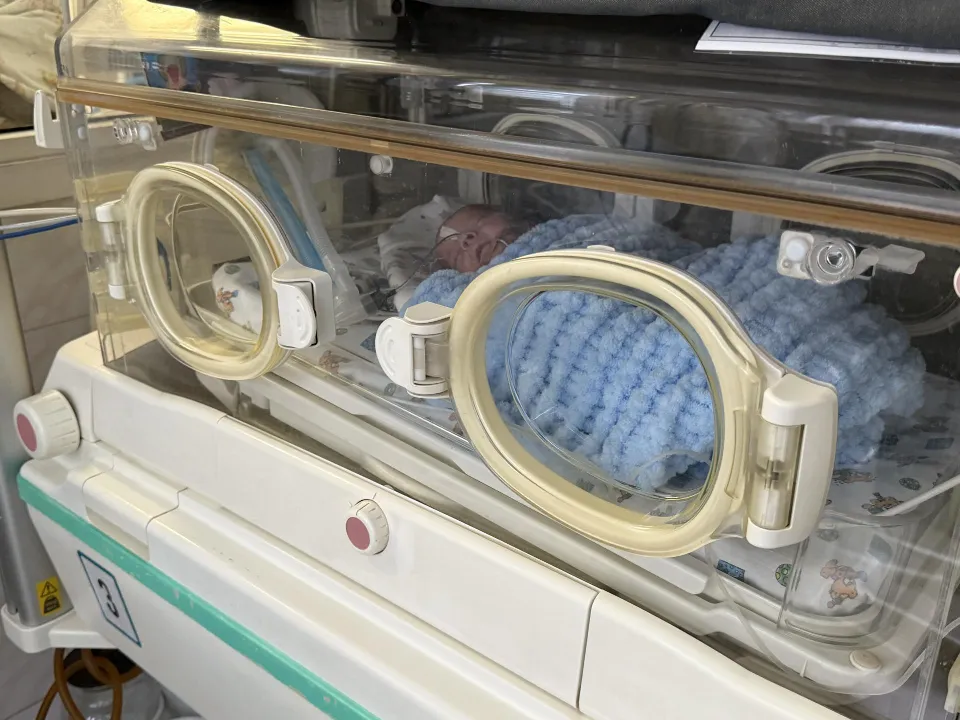 Фото: МедиаБанк Подмосковья/Анна Дука